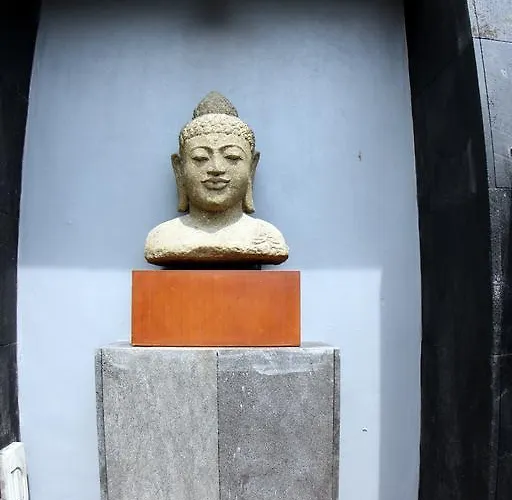 迪苏特别墅 *